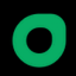 绿光浏览器电脑版v12.1.1绿色版