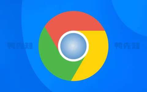 GoogleChromev126.0.6478.127谷歌Chrome浏览器，便携增强版